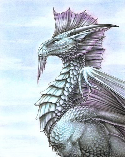 Cala'diel (5e Campaign Setting)/Dragons/Malkura - Dungeons and Dragons Wiki