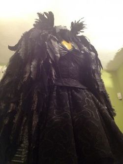 Raven Dress.jpg